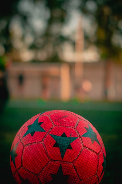 纳的灵魂人 纳的灵魂人