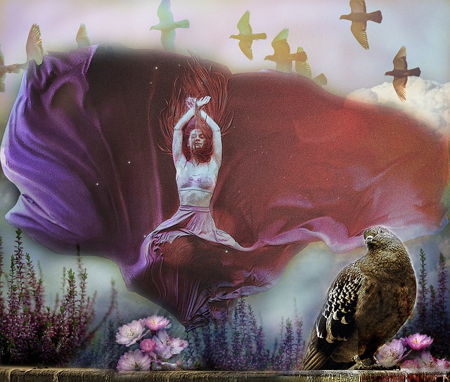 感在哪裡 感在哪裡