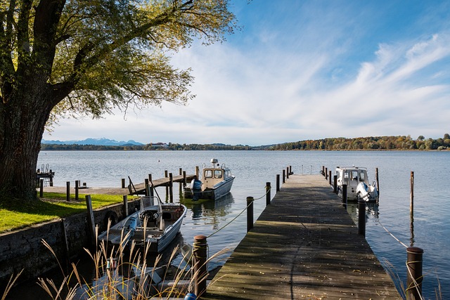 坚韧与挑战 坚韧与挑战