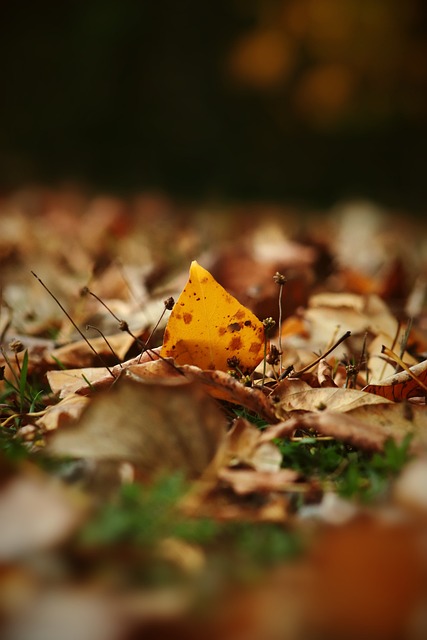 的长效性和 的长效性和