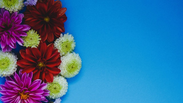 队状态与调 队状态与调