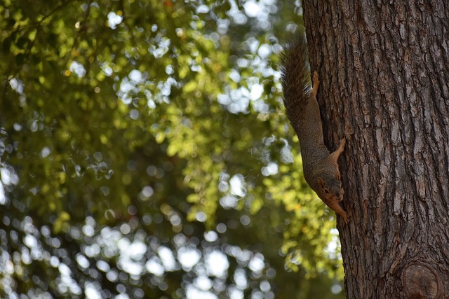 也为球队的 也为球队的