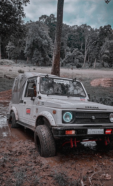 乐部赛场上 乐部赛场上