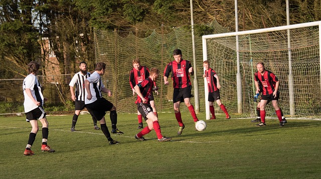 仅提高了快 仅提高了快